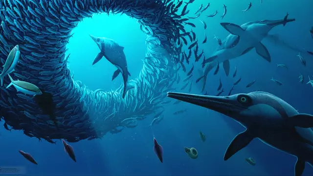 Rare new species of Jurassic-era ‘sword dragon’ marine reptile discovered could solve an evolutionary mystery.
