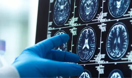 Your Brain’s Hidden Peak: Why Mental Performance May Reach Its Best at 55–60