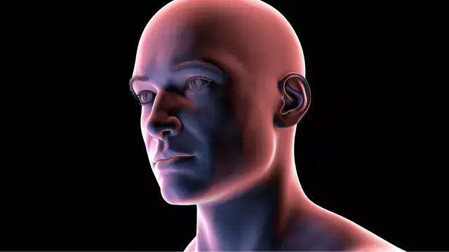 Real meaning behind ‘looksmaxxing’ as extreme trend is increasingly harming young men