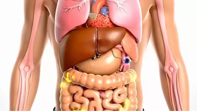 Shocking simulation shows exactly what happens to your body if you quit sugar for seven days.