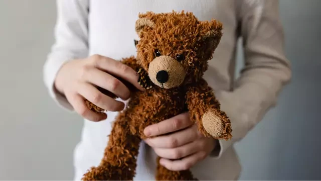 Scientists reveal why you shouldn’t buy kids teddy bears for a surprising reason