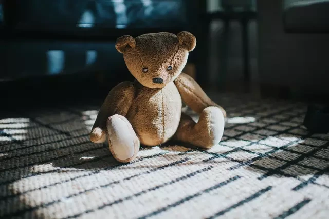 Teddy bears may not be the best idea after all